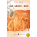 Come i gigli del campo